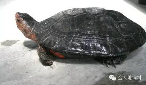 图片7.jpg